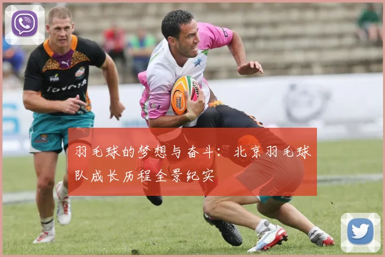 羽毛球的梦想与奋斗：北京羽毛球队成长历程全景纪实