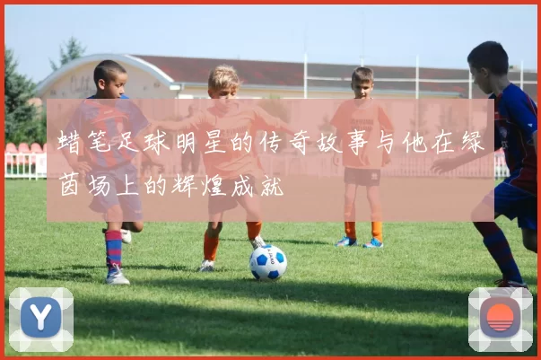 蜡笔足球明星的传奇故事与他在绿茵场上的辉煌成就