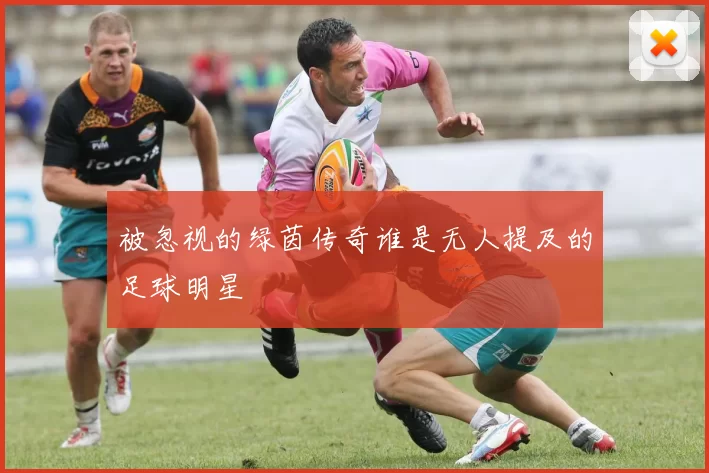 被忽视的绿茵传奇谁是无人提及的足球明星