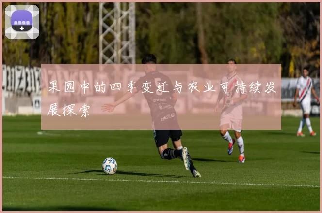 果园中的四季变迁与农业可持续发展探索