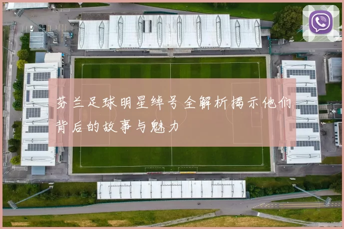 芬兰足球明星绰号全解析揭示他们背后的故事与魅力