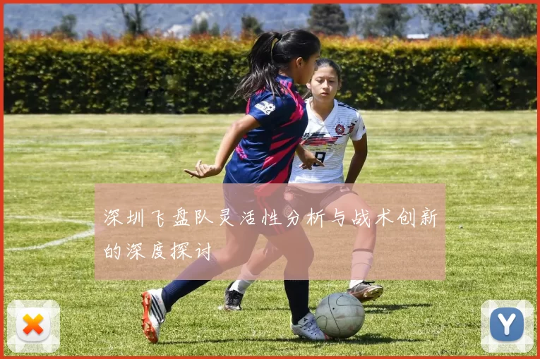 深圳飞盘队灵活性分析与战术创新的深度探讨