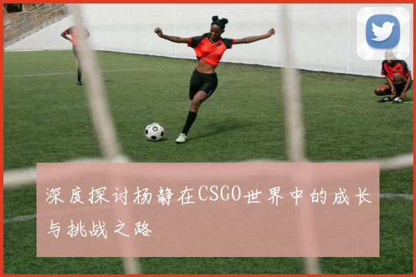 深度探讨杨静在CSGO世界中的成长与挑战之路