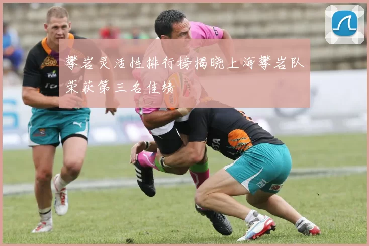 攀岩灵活性排行榜揭晓上海攀岩队荣获第三名佳绩