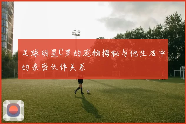足球明星C罗的宠物揭秘与他生活中的亲密伙伴关系