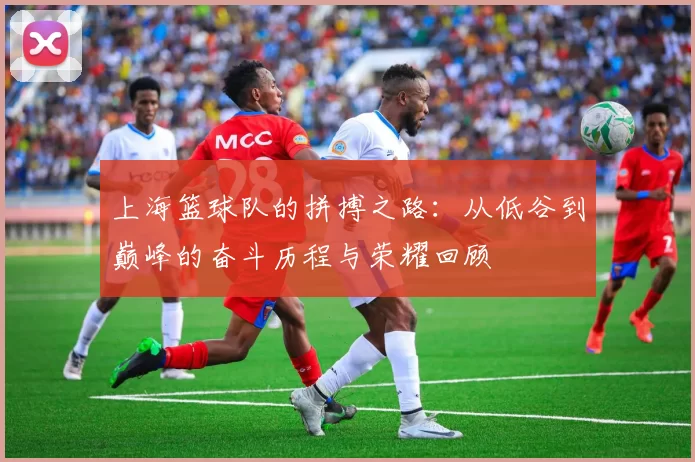 上海篮球队的拼搏之路：从低谷到巅峰的奋斗历程与荣耀回顾