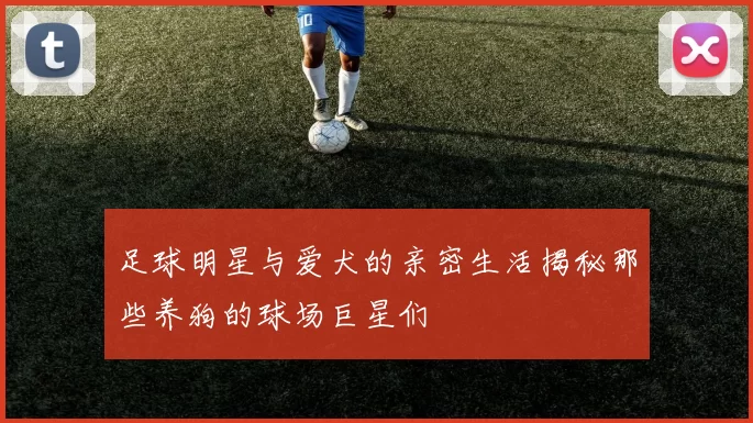 足球明星与爱犬的亲密生活揭秘那些养狗的球场巨星们