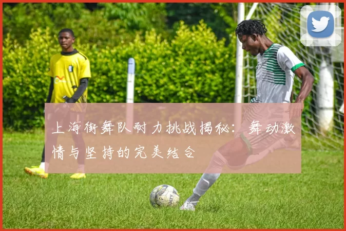上海街舞队耐力挑战揭秘：舞动激情与坚持的完美结合