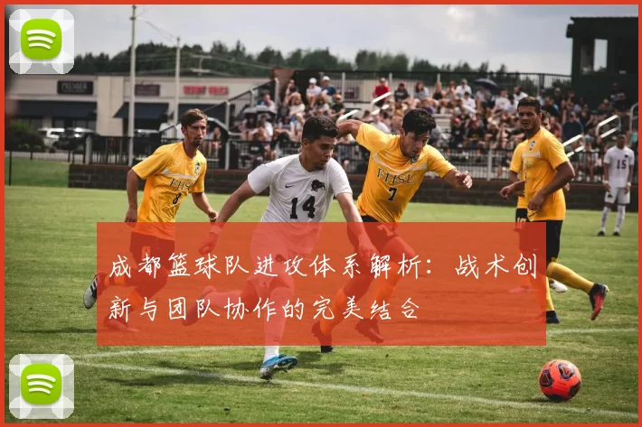 成都篮球队进攻体系解析：战术创新与团队协作的完美结合