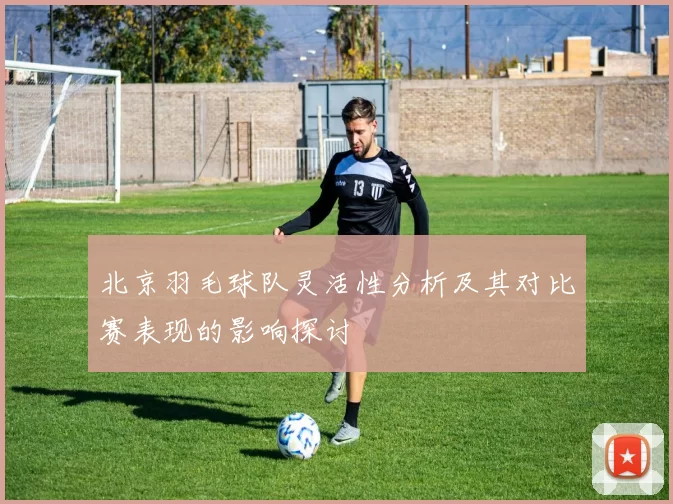 北京羽毛球队灵活性分析及其对比赛表现的影响探讨