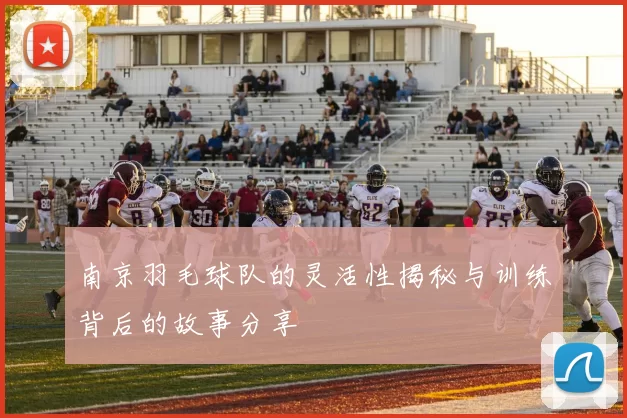 南京羽毛球队的灵活性揭秘与训练背后的故事分享