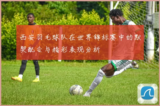 西安羽毛球队在世界锦标赛中的默契配合与精彩表现分析