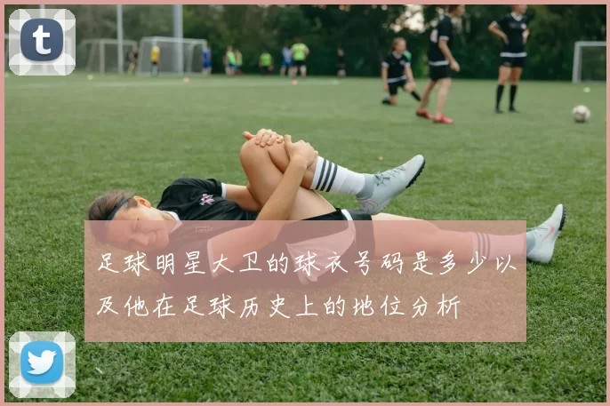 足球明星大卫的球衣号码是多少以及他在足球历史上的地位分析