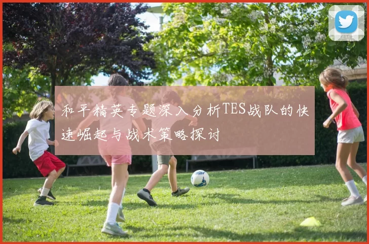 和平精英专题深入分析TES战队的快速崛起与战术策略探讨