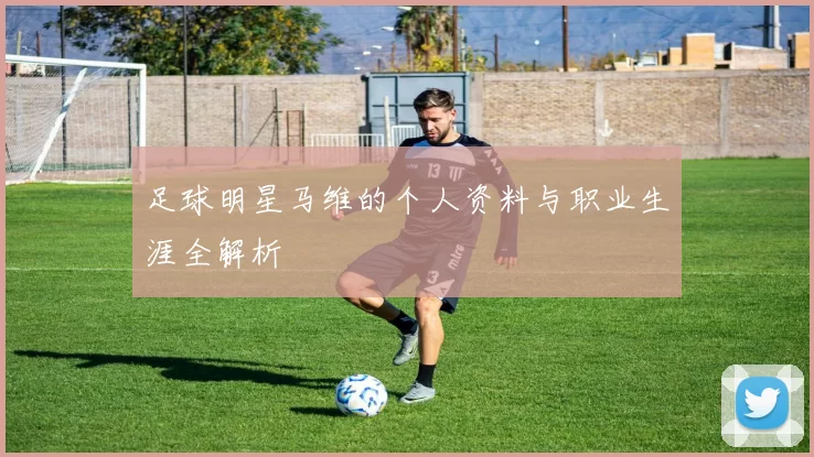 足球明星马维的个人资料与职业生涯全解析