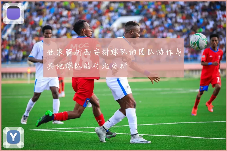独家解析西安排球队的团队协作与其他球队的对比分析