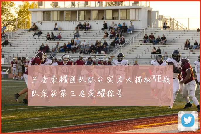 王者荣耀团队配合实力大揭秘WE战队荣获第三名荣耀称号