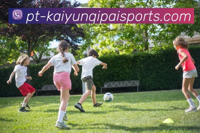 开云体育发展历程